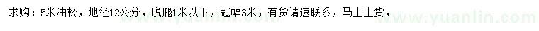 求購地徑12公分油松