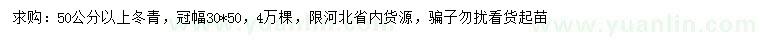 求購50公分以上冬青