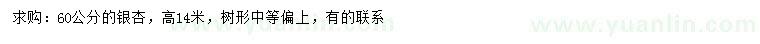 求購60公分銀杏