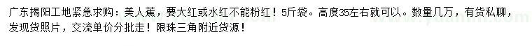 求購高35公分美人蕉