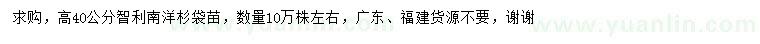 求購高40公分智利南洋杉