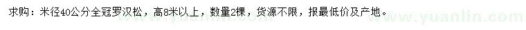 求購米徑40公分全冠羅漢松