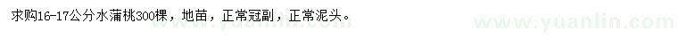 求購16-17公分水蒲桃