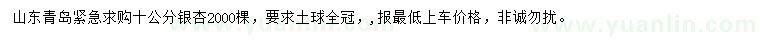 求購10公分銀杏