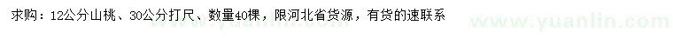 求購12公分山桃