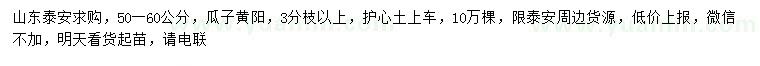求購50-60公分瓜子黃楊