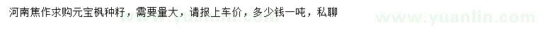 求購(gòu)元寶楓種子