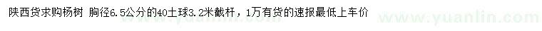 求購(gòu)胸徑6.5公分楊樹(shù)
