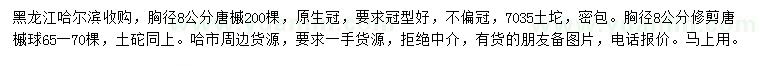 求購胸徑8公分糖槭