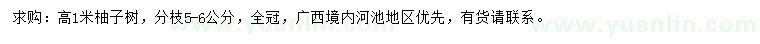 求購(gòu)高1米柚子樹