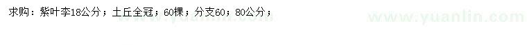 求購(gòu)18公分紫葉李