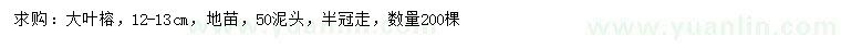 求購12-13公分大葉榕