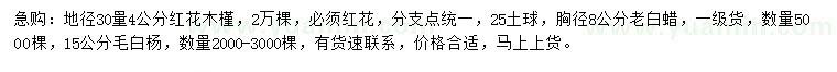 求購紅花木槿、老白蠟、毛白楊