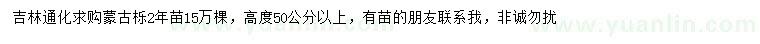 求購高50公分以上蒙古櫟