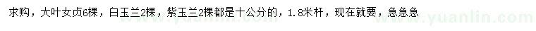 求購大葉女貞、白玉蘭、紫玉蘭