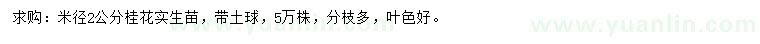 求購米徑2公分桂花