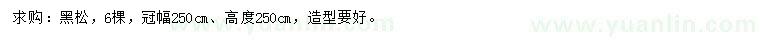 求購冠幅2.5米黑松