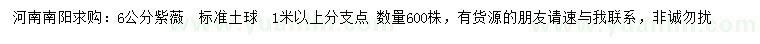 求購(gòu)6公分紫薇