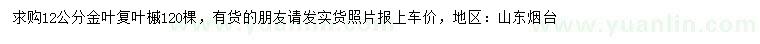 求購12公分金葉復(fù)葉槭