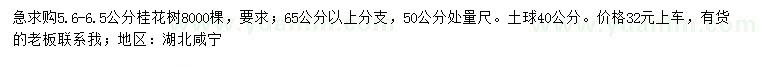 求購50量5.6-6.5公分桂花