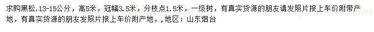求購(gòu)13-15公分黑松
