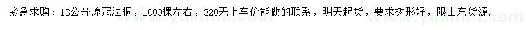 求購13公分原冠法桐