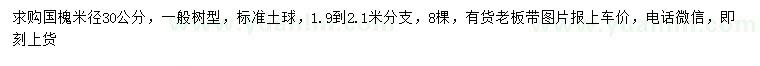 求購米徑30公分國槐