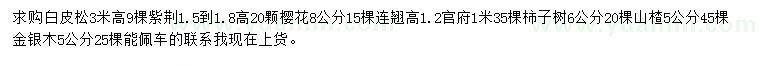 求購白皮松、紫荊、櫻花等
