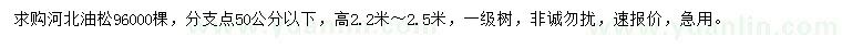 求購高2.2-2.5米油松