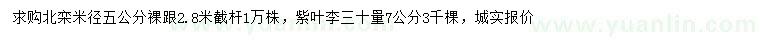 求購(gòu)米徑5公分北欒、30量7公分紫葉李