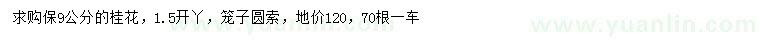 求購9公分桂花
