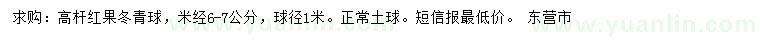 求購米徑6-7公分高桿紅果冬青球