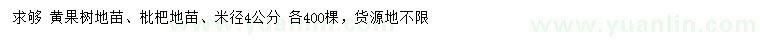 求購米徑4公分黃果樹(shù)、枇杷樹(shù)