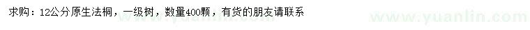 求購12公分原生法桐