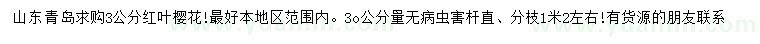 求購30量3公分紅葉櫻花