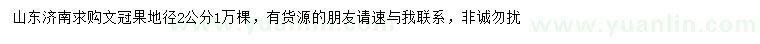 求購地徑2公分文冠果