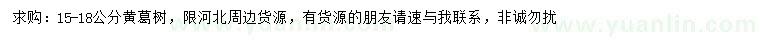 求購15-18公分黃葛樹