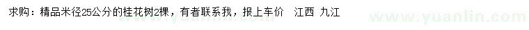 求購米徑25公分桂花
