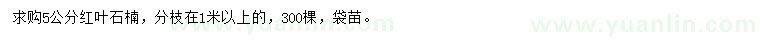 求購5公分紅葉石楠
