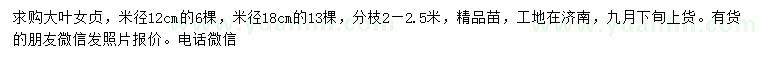 求購(gòu)米徑12、18公分大葉女貞