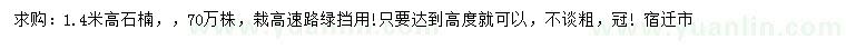 求購(gòu)高1.4米石楠