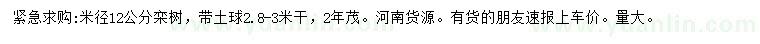求購(gòu)米徑12公分欒樹(shù)