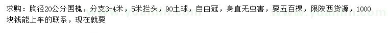 求購胸徑20公分國槐