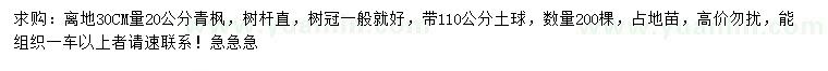 求購30量20公分青楓