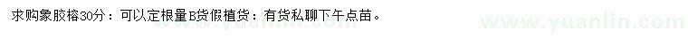 求購30公分橡膠榕