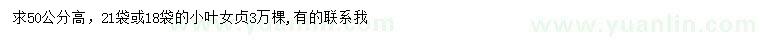 求購高50公分小葉女貞