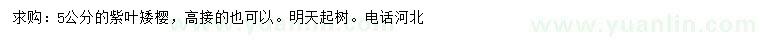 求購(gòu)5公分紫葉矮櫻