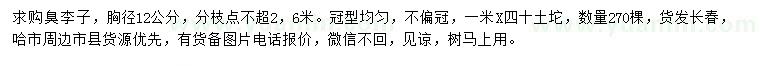 求購胸徑12公分臭李子樹