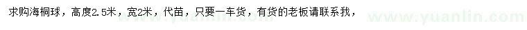求購高2.5米海桐球