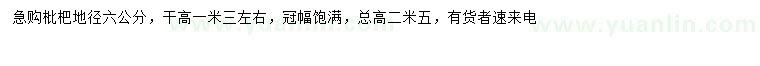 求購地徑6公分枇杷樹